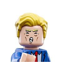 President Bricks